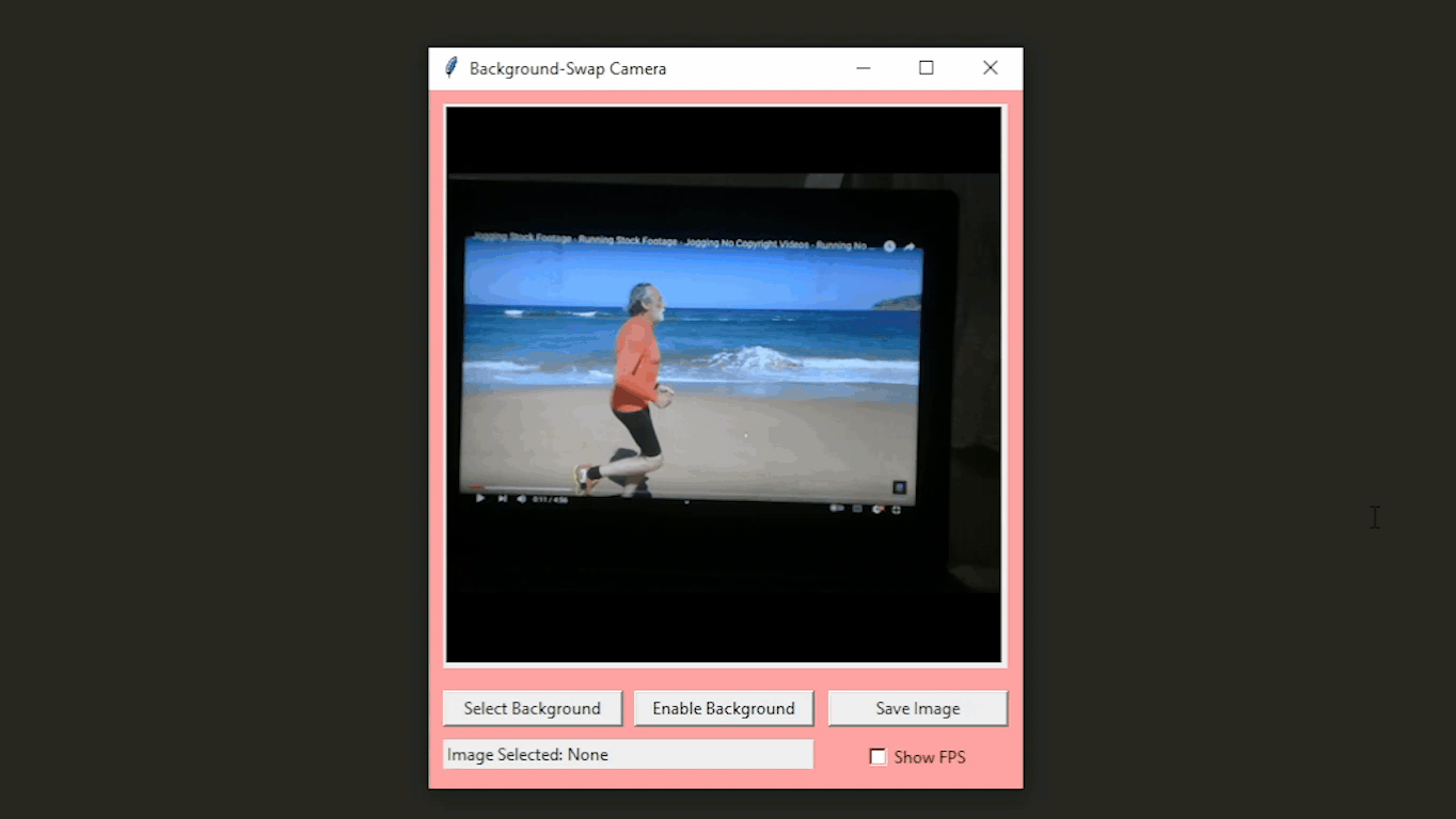 GIF of the program working